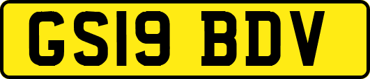 GS19BDV