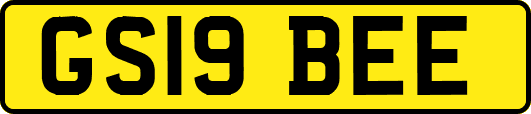 GS19BEE