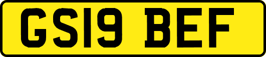 GS19BEF