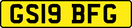 GS19BFG