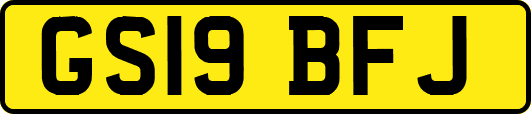 GS19BFJ