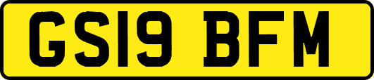 GS19BFM