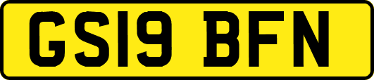 GS19BFN