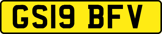 GS19BFV