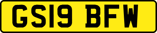 GS19BFW