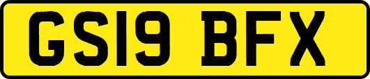 GS19BFX