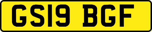 GS19BGF