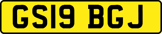 GS19BGJ