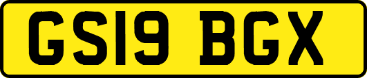 GS19BGX