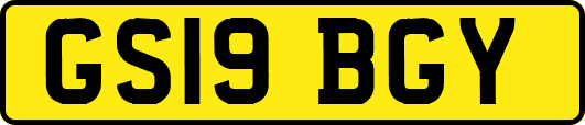 GS19BGY