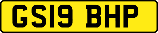 GS19BHP