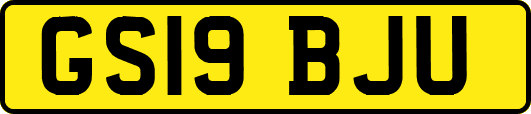GS19BJU