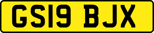 GS19BJX