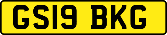 GS19BKG
