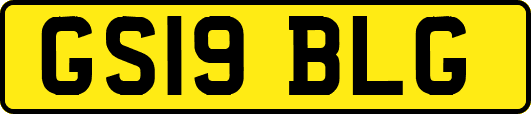 GS19BLG