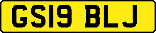 GS19BLJ