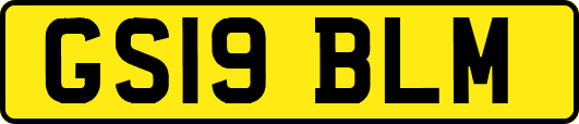 GS19BLM