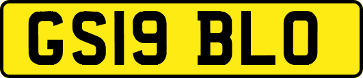 GS19BLO