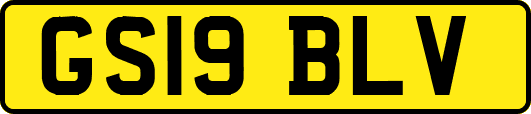 GS19BLV