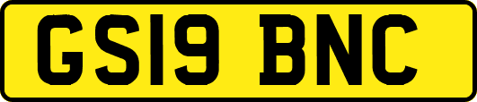 GS19BNC