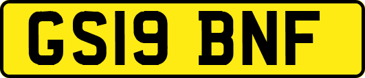 GS19BNF