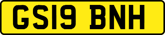 GS19BNH