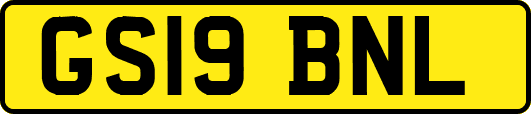 GS19BNL