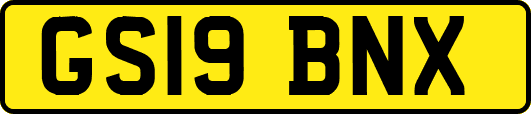 GS19BNX