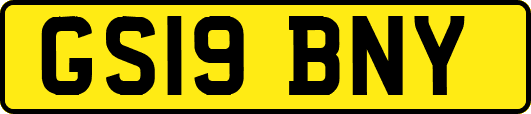 GS19BNY