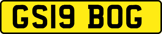 GS19BOG