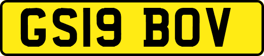 GS19BOV