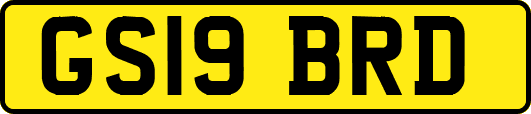 GS19BRD