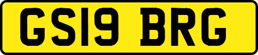 GS19BRG