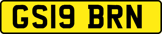 GS19BRN