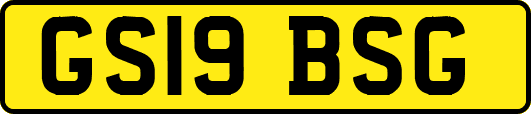 GS19BSG