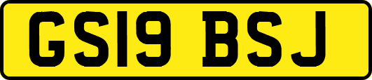 GS19BSJ