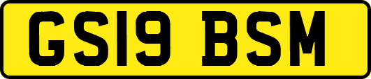 GS19BSM