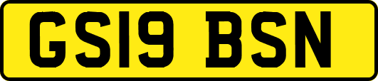 GS19BSN