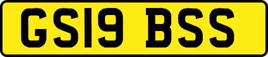 GS19BSS
