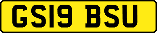 GS19BSU