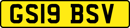 GS19BSV
