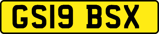 GS19BSX