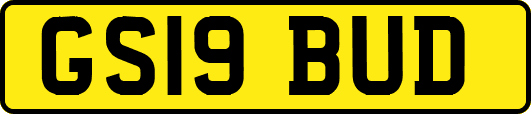 GS19BUD