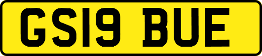 GS19BUE