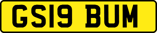 GS19BUM