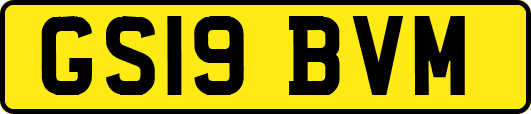 GS19BVM