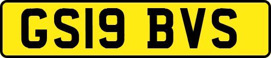 GS19BVS