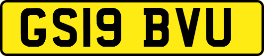 GS19BVU