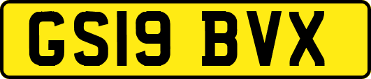 GS19BVX