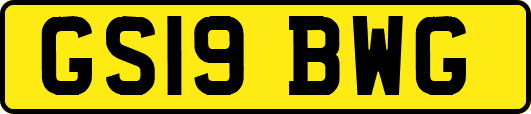 GS19BWG